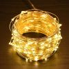 66ft String Light Christmas
